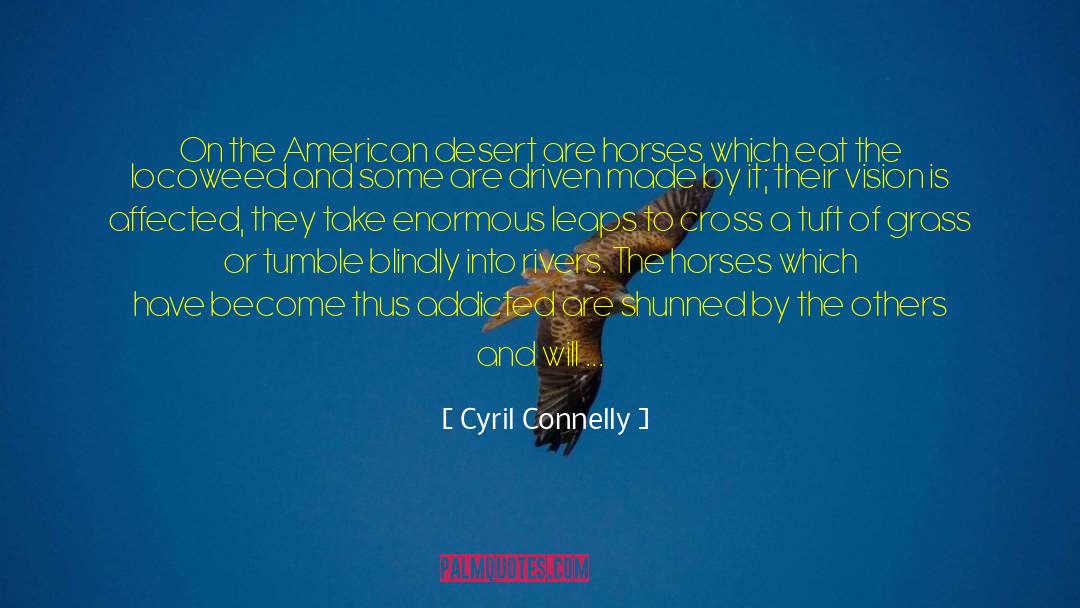 American Blindspot quotes by Cyril Connelly