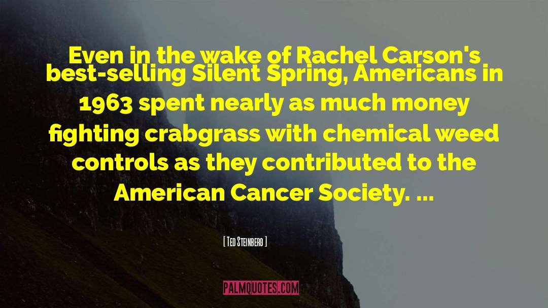 American Cancer Society quotes by Ted Steinberg