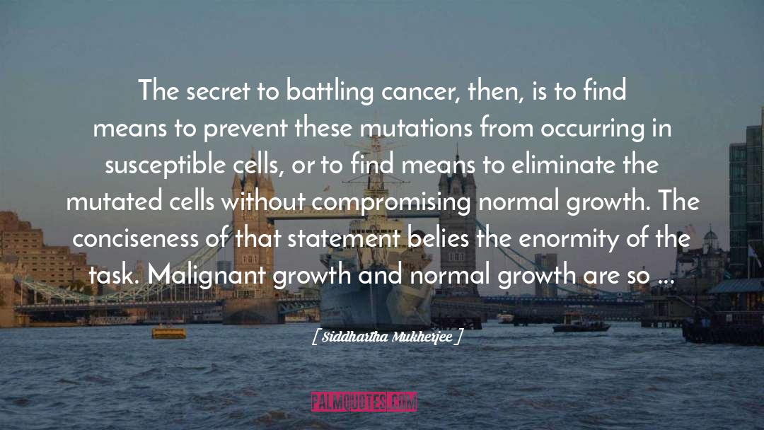 American Cancer Society quotes by Siddhartha Mukherjee