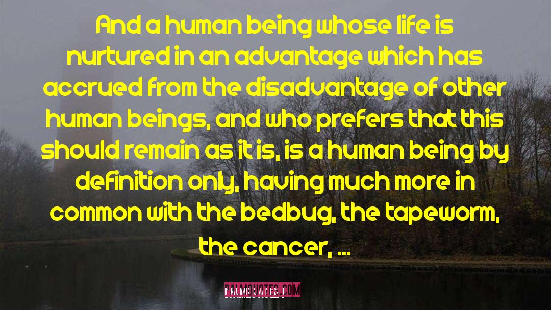 American Cancer Society quotes by James Agee