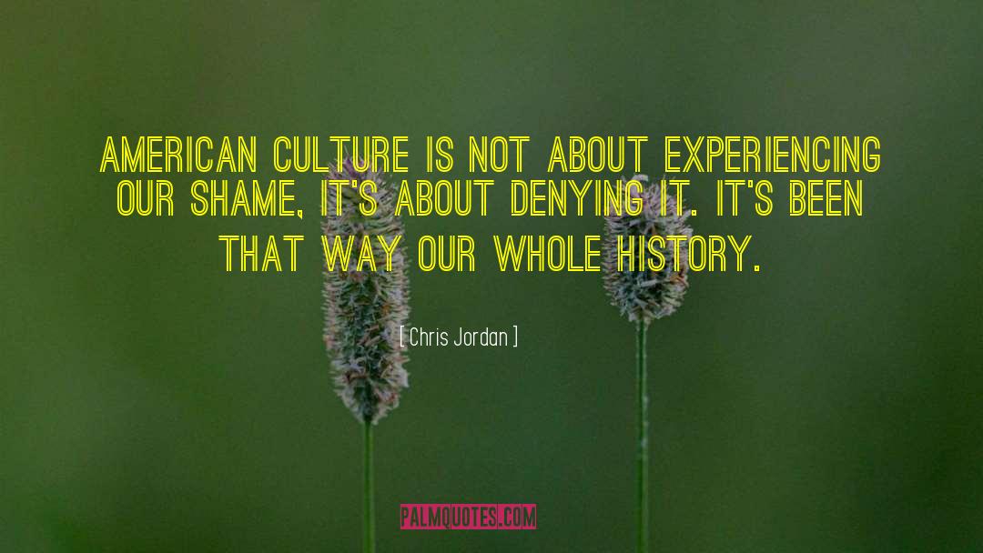 American Culture quotes by Chris Jordan