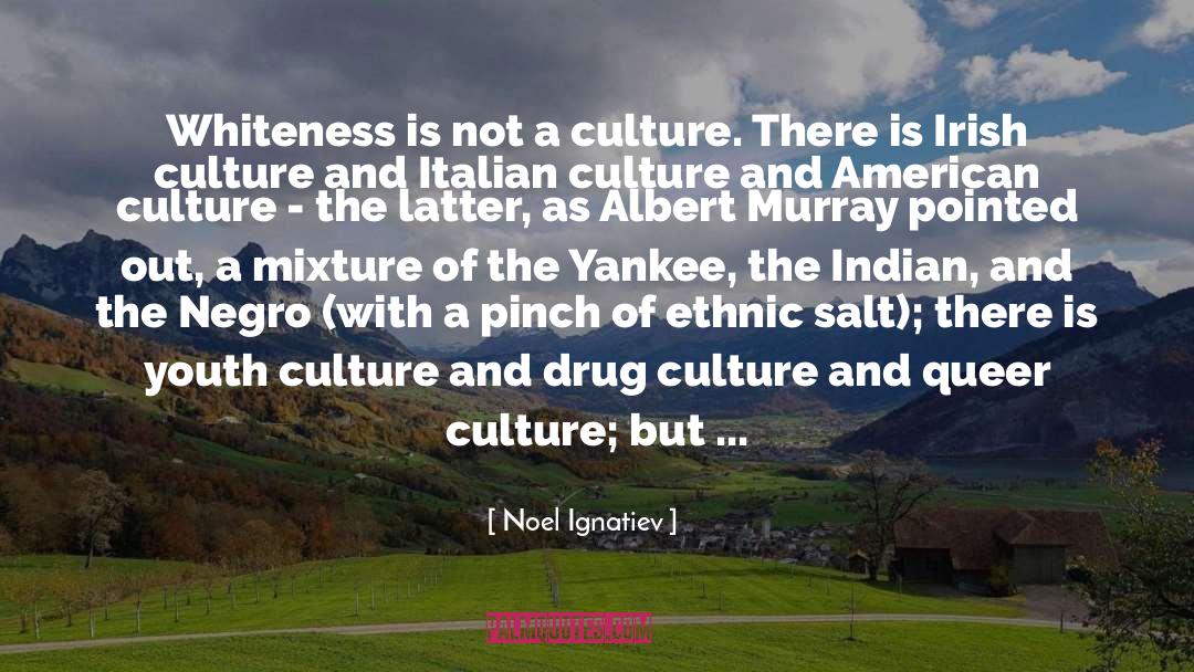 American Culture quotes by Noel Ignatiev
