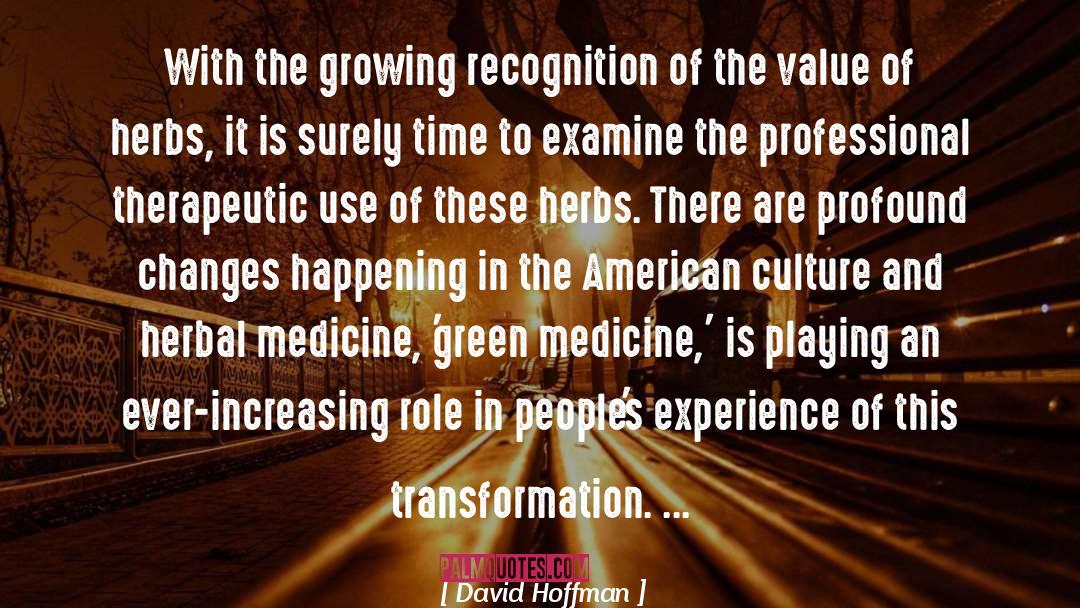 American Culture quotes by David Hoffman
