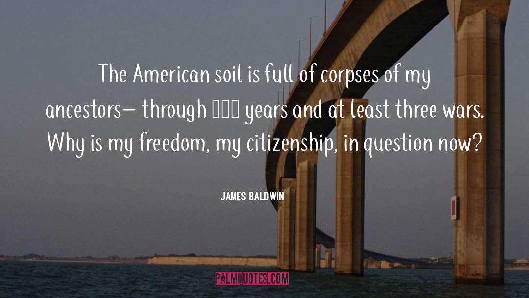 American Democracy quotes by James Baldwin