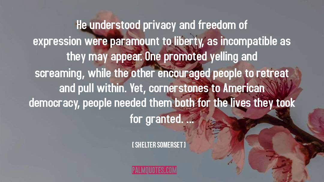 American Democracy quotes by Shelter Somerset