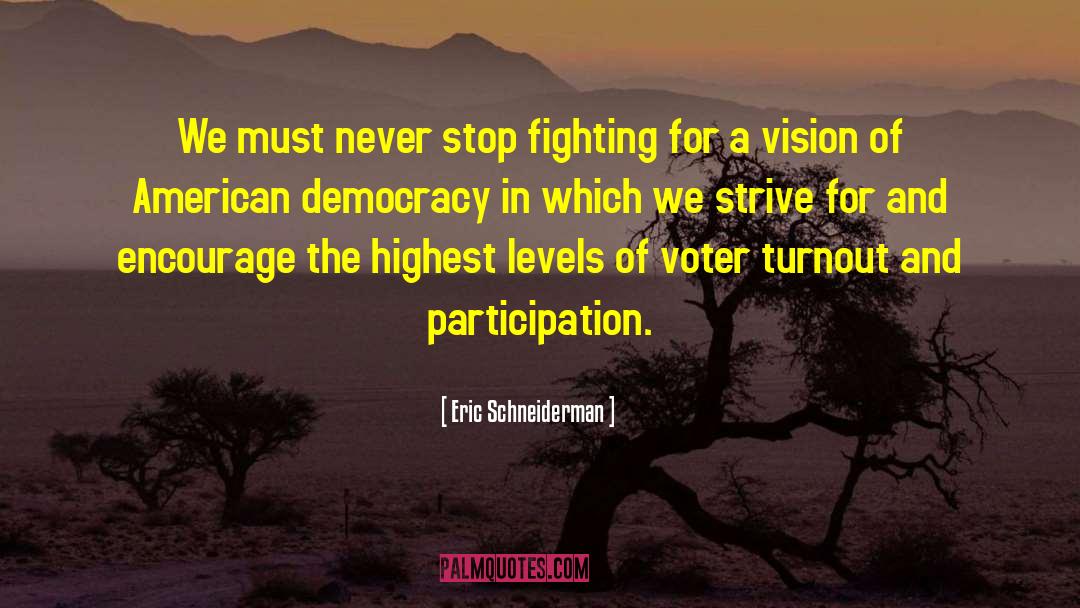 American Democracy quotes by Eric Schneiderman