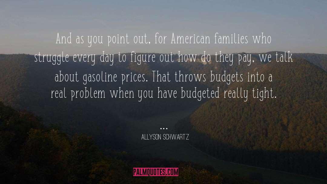 American Families quotes by Allyson Schwartz