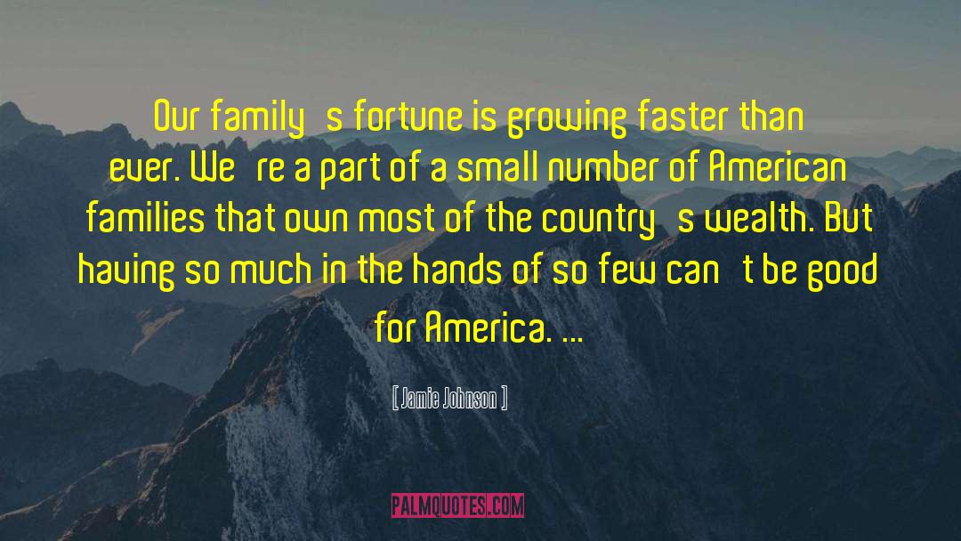 American Families quotes by Jamie Johnson