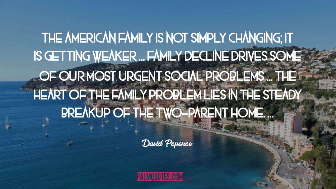 American Family quotes by David Popenoe
