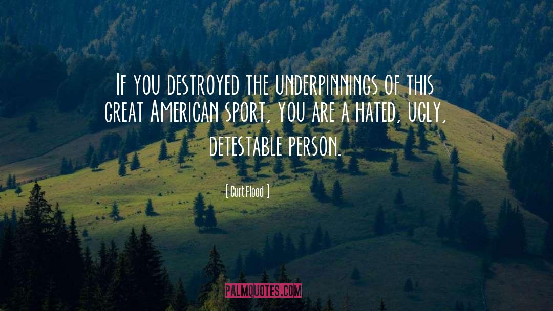 American Indians quotes by Curt Flood