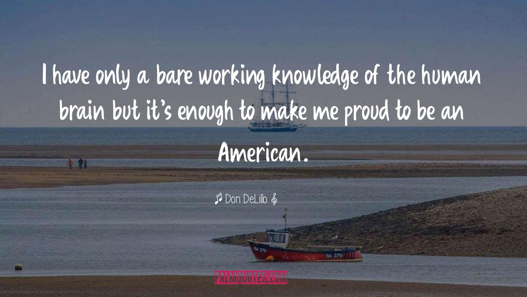 American Patriotism quotes by Don DeLillo