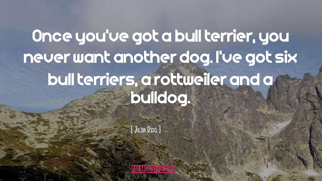 American Pit Bull Terriers quotes by Julian Dicks
