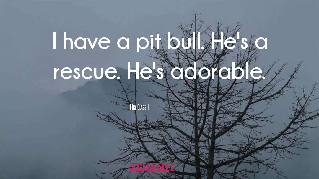 American Pit Bull Terriers quotes by Ira Glass