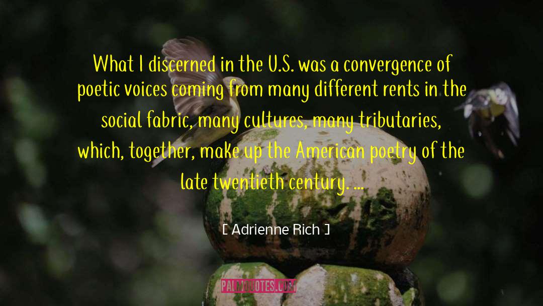 American Poetry quotes by Adrienne Rich