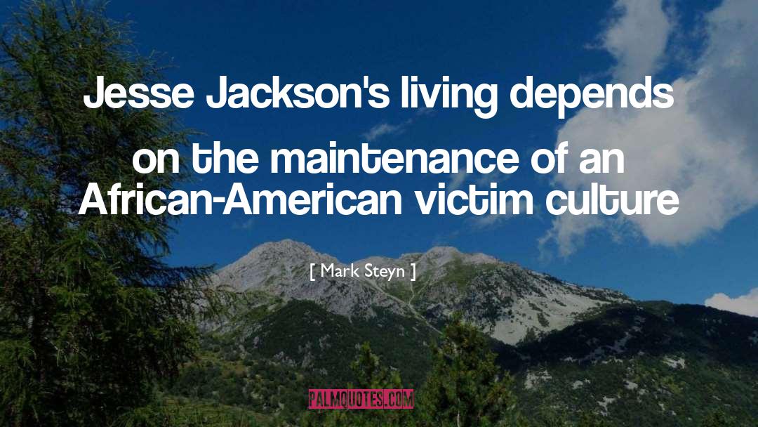 American Politics quotes by Mark Steyn