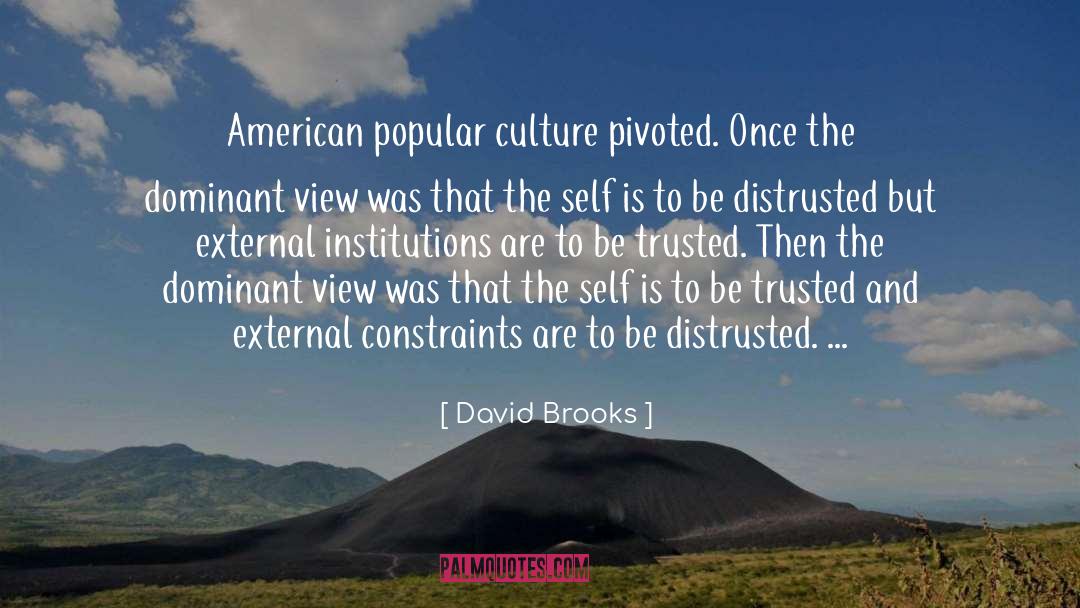 American Popular Culture quotes by David Brooks