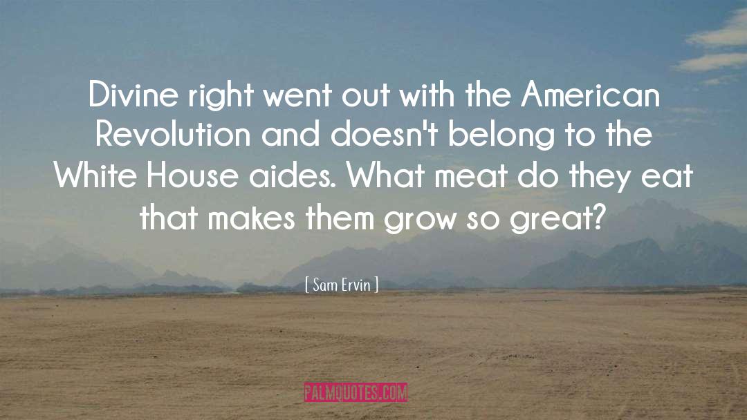 American Revolution quotes by Sam Ervin