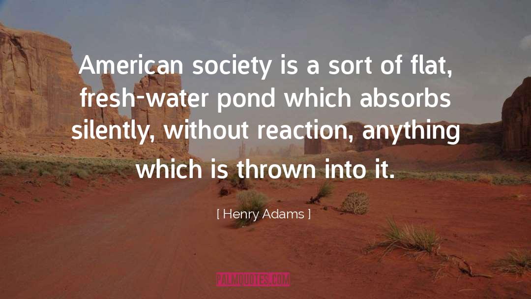 American Society quotes by Henry Adams