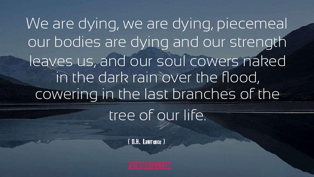 American Soul quotes by D.H. Lawrence