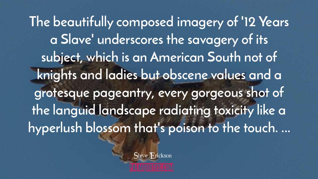 American South quotes by Steve Erickson