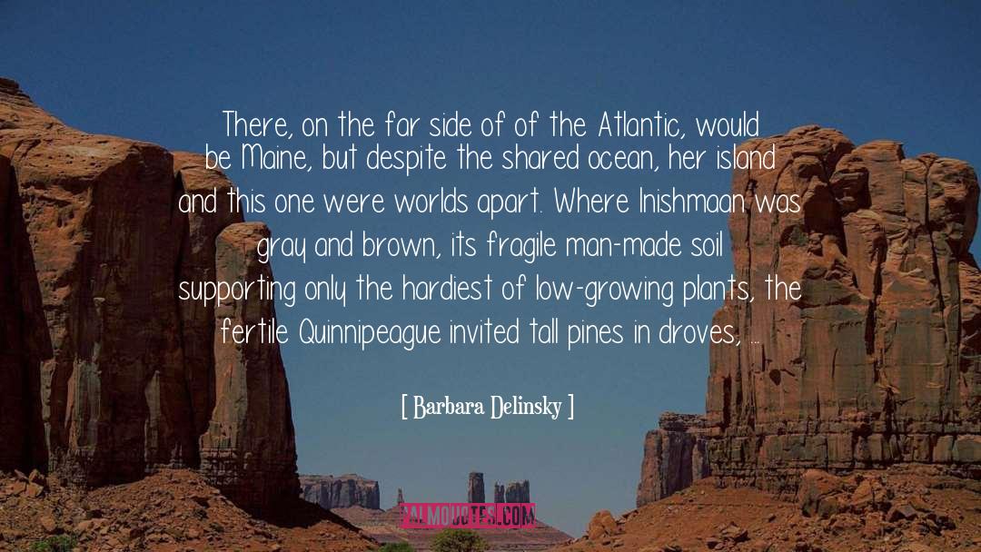 American South West quotes by Barbara Delinsky