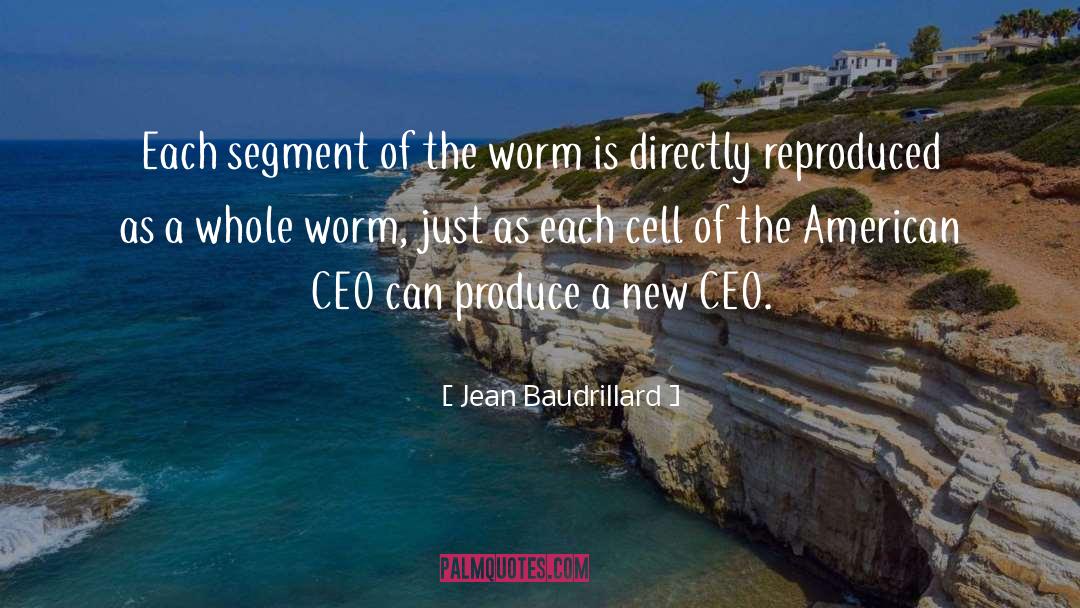 American University quotes by Jean Baudrillard