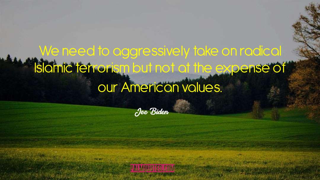 American Values quotes by Joe Biden