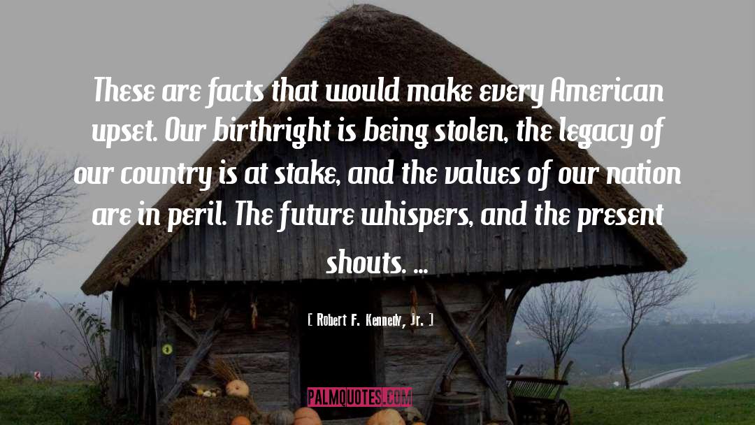 American Voters quotes by Robert F. Kennedy, Jr.