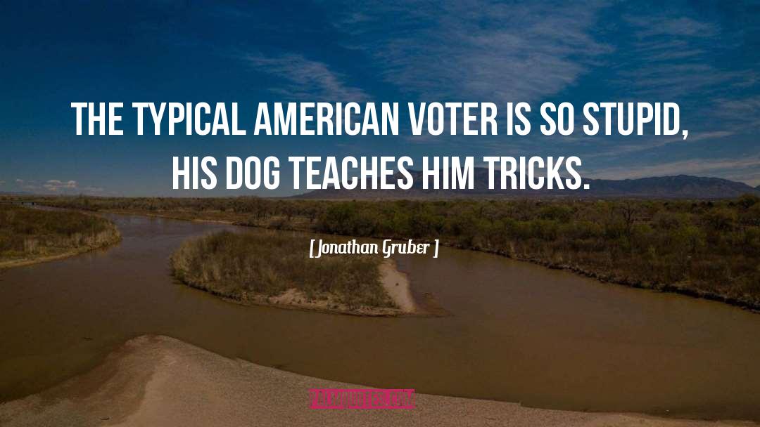 American Voters quotes by Jonathan Gruber