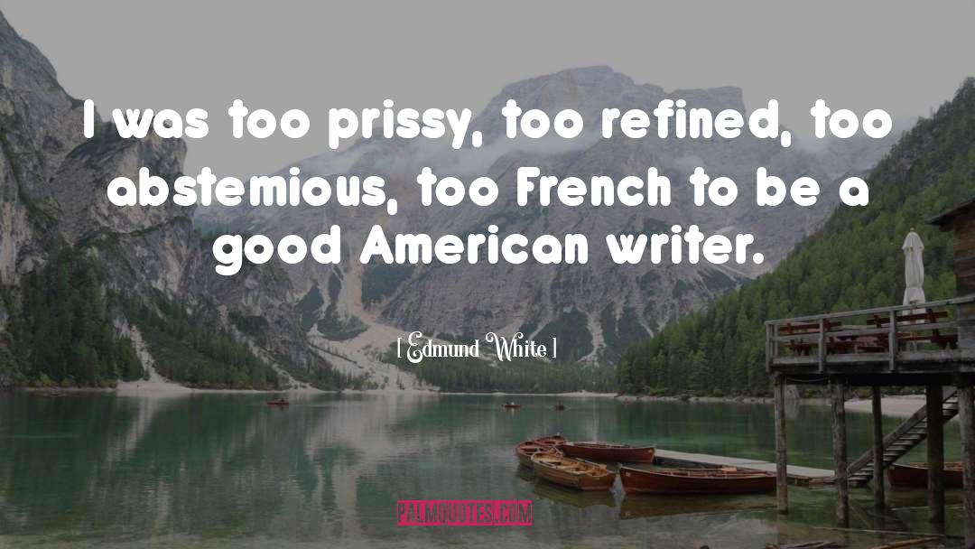 American Writer quotes by Edmund White