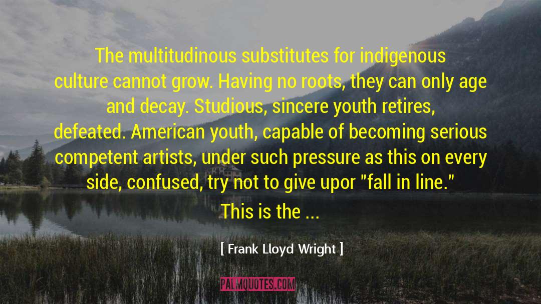 American Youth quotes by Frank Lloyd Wright