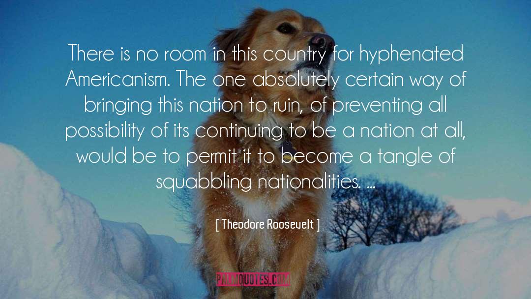 Americanism quotes by Theodore Roosevelt