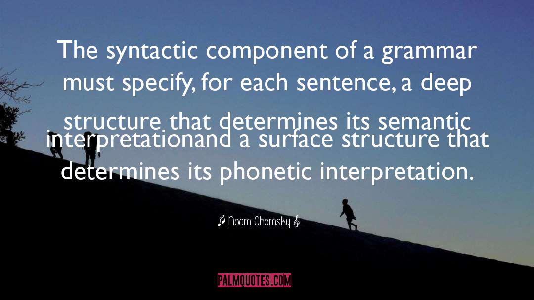 Americanist Phonetic Notation quotes by Noam Chomsky