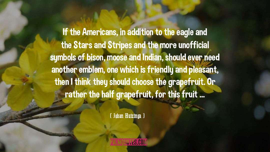 Americans quotes by Johan Huizinga