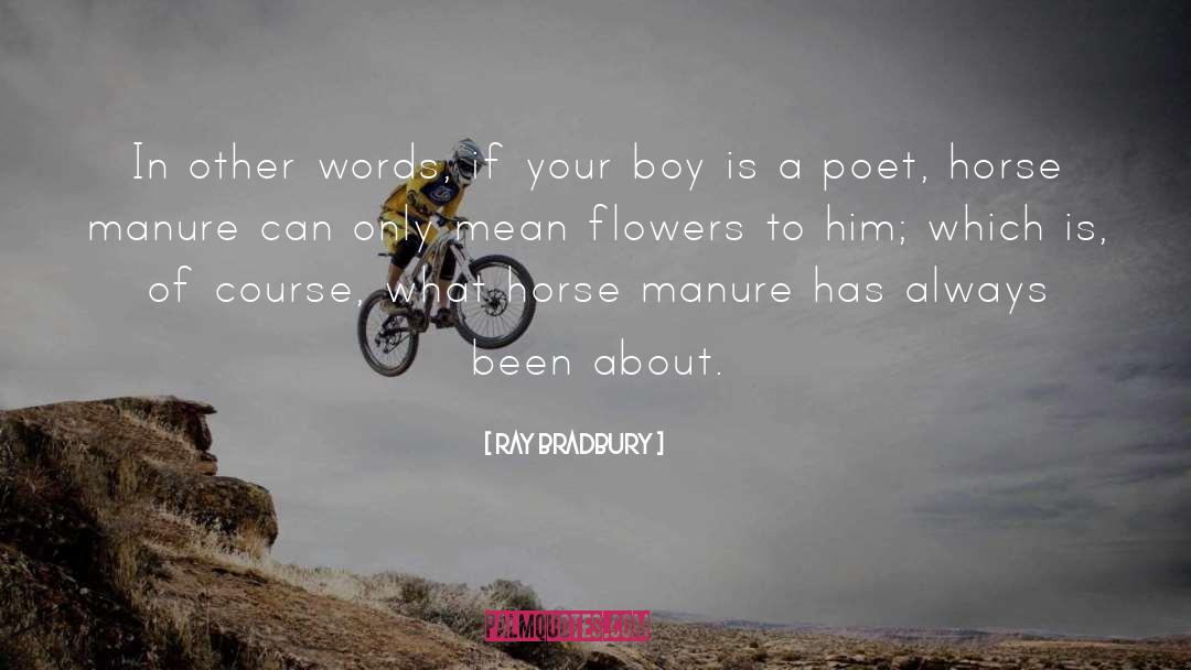 Americo Liberian Poet quotes by Ray Bradbury