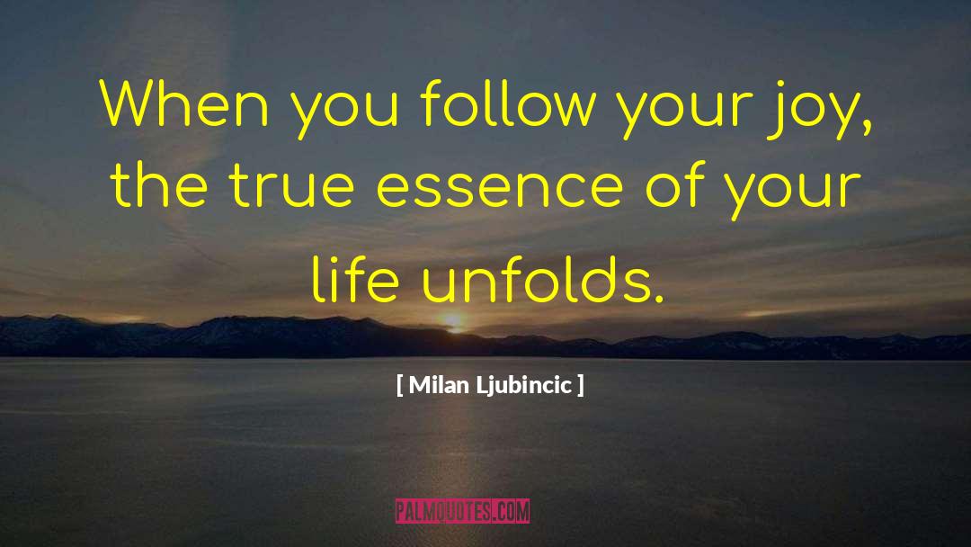 Americo Life Insurance Quote quotes by Milan Ljubincic