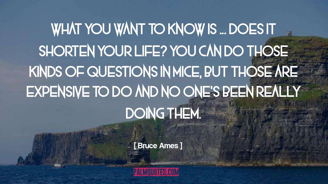 Ames quotes by Bruce Ames