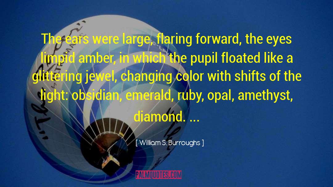 Amethyst Birthstone quotes by William S. Burroughs