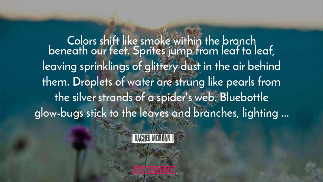 Amethyst quotes by Rachel Morgan