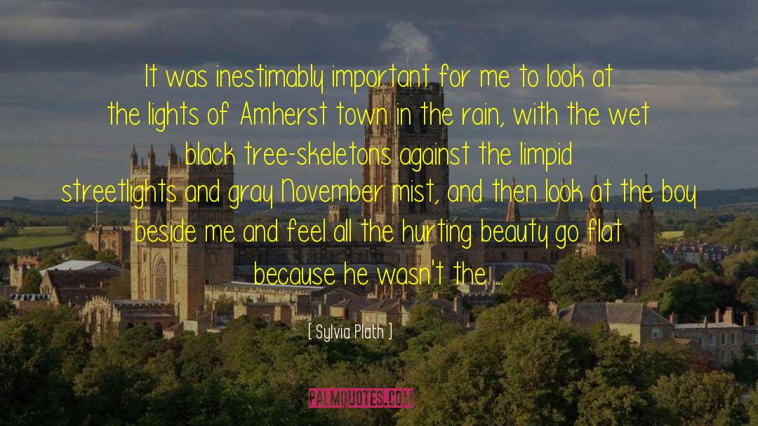 Amherst quotes by Sylvia Plath