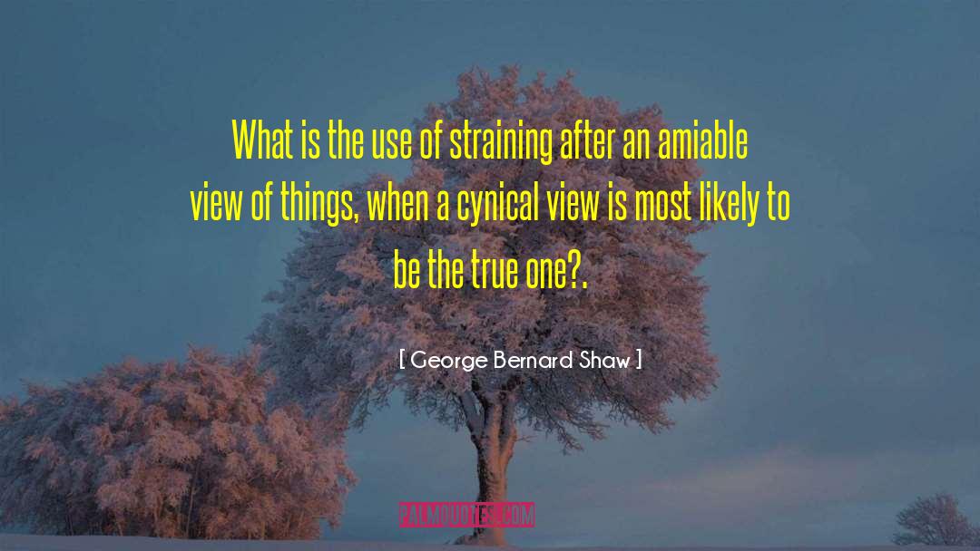 Amiable quotes by George Bernard Shaw