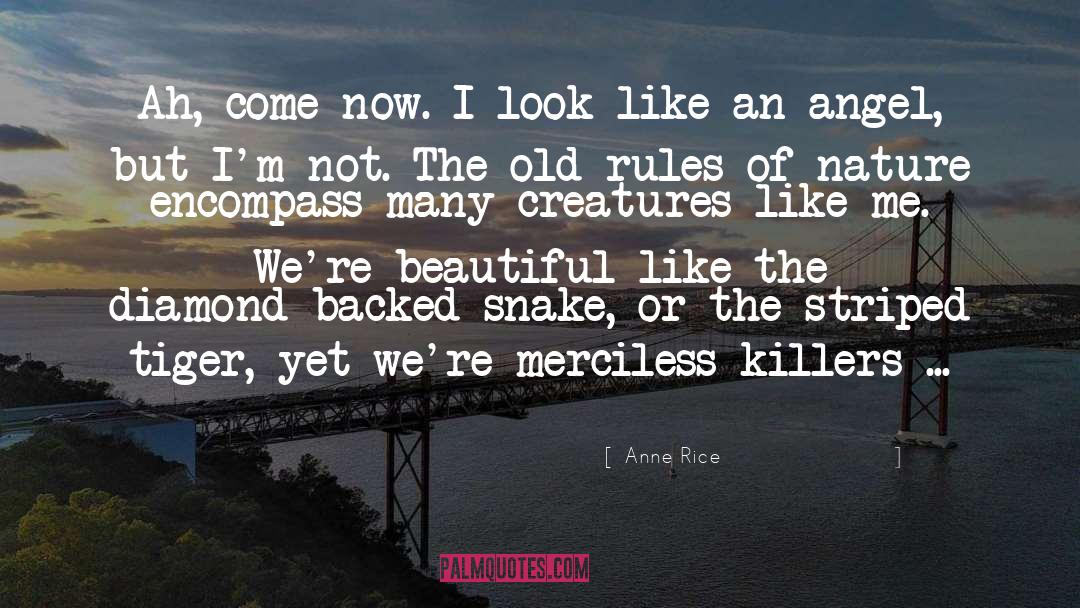 Amiable Snake quotes by Anne Rice