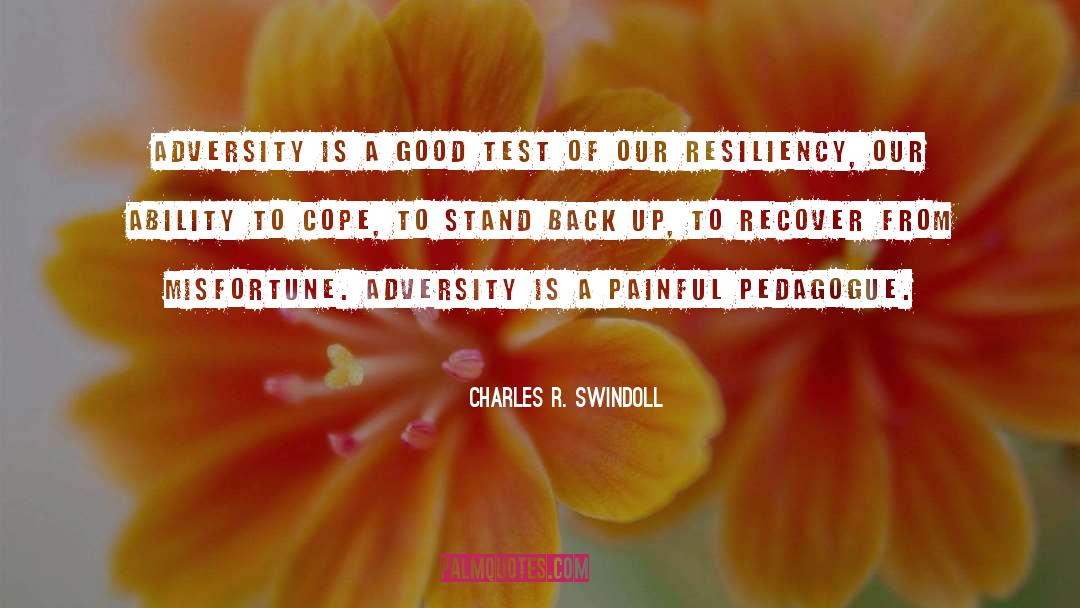 Amidst Adversity quotes by Charles R. Swindoll