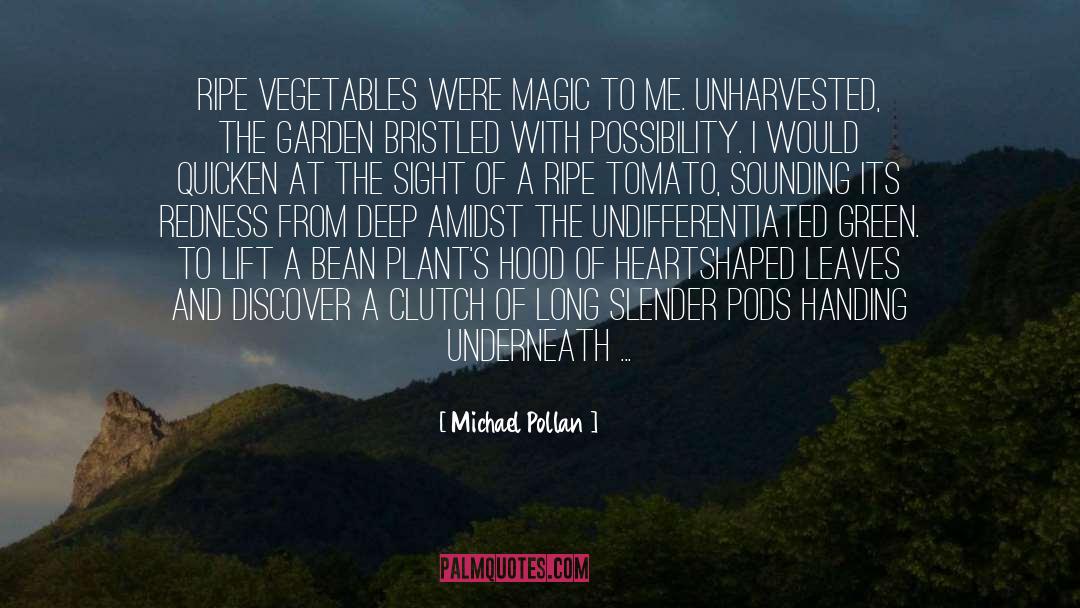 Amidst quotes by Michael Pollan