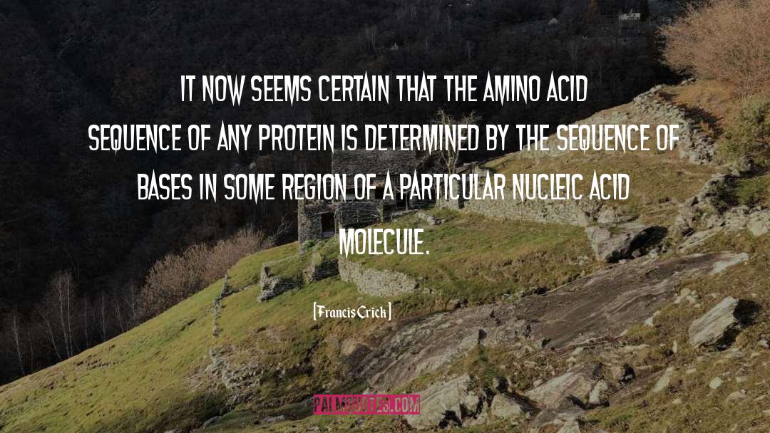 Amino Acids quotes by Francis Crick