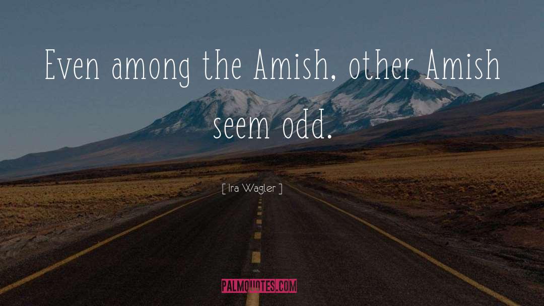 Amish Authors quotes by Ira Wagler