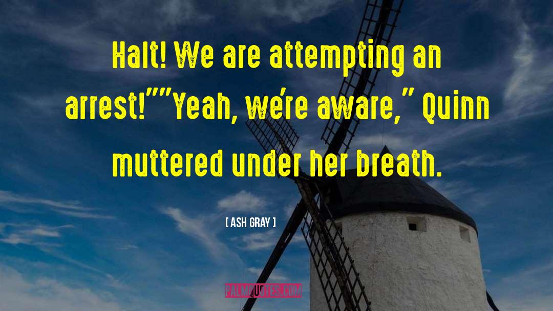 Amish Fiction quotes by Ash Gray