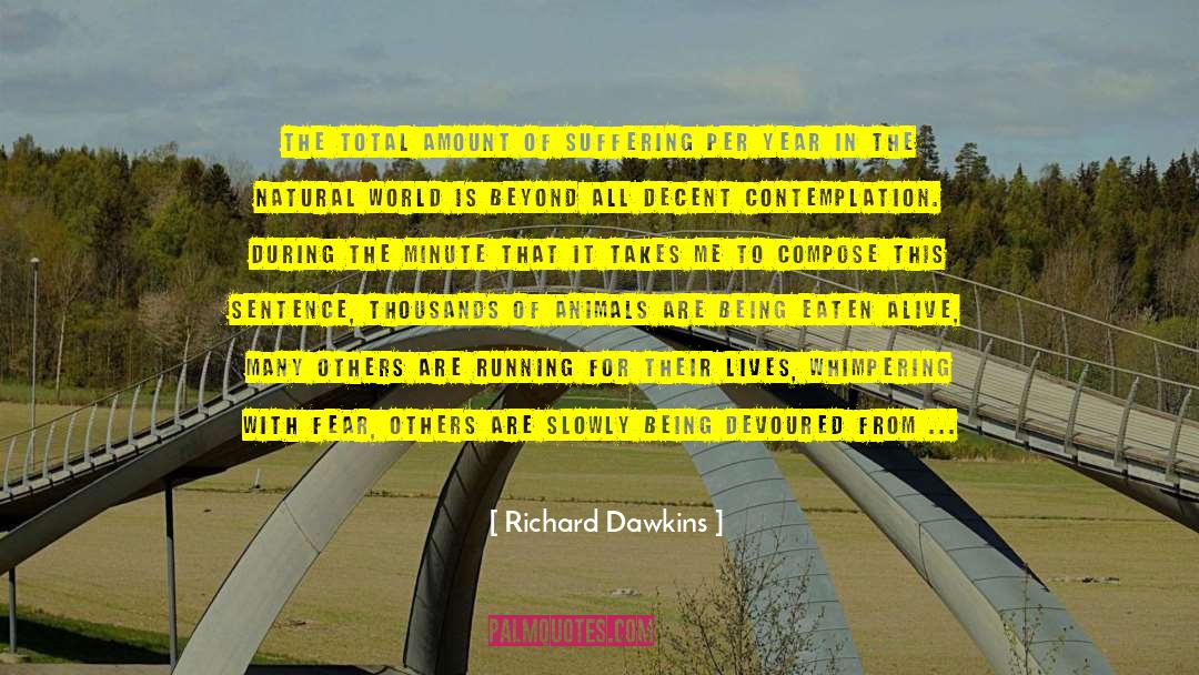 Amitis Design quotes by Richard Dawkins