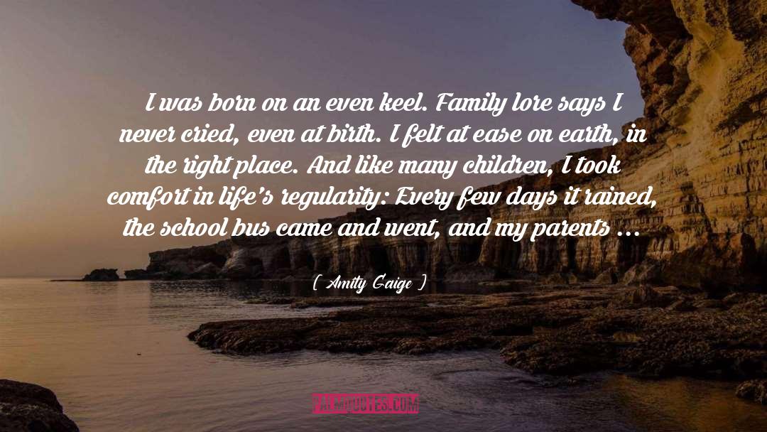 Amity quotes by Amity Gaige