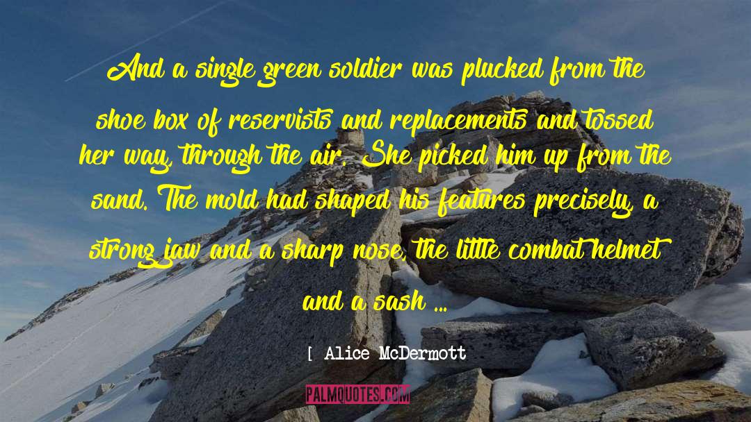 Ammunition quotes by Alice McDermott